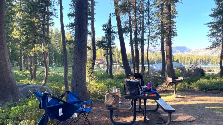 campsite with picnic table and supplies in forest looking out at Wrights Lake