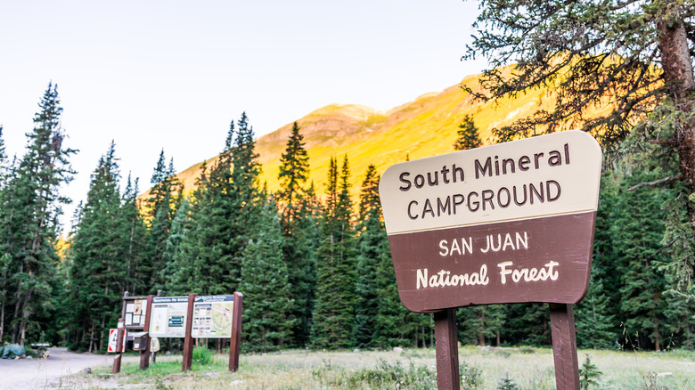 South Mineral Campground sign at sunset in a forested meadow in the San Juan National Forest, Colorado