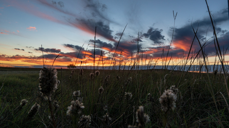 sunset over Tallgrass Prairie National Preserve