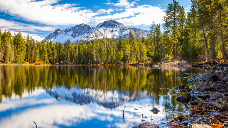 forest surrounds Manzanita Lake with Lassen Peak in the distance in Lassen Volcanic National Park