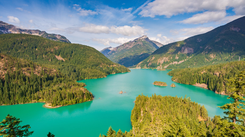 Turquoise water of Diablo lake surrounded by forest and mountains