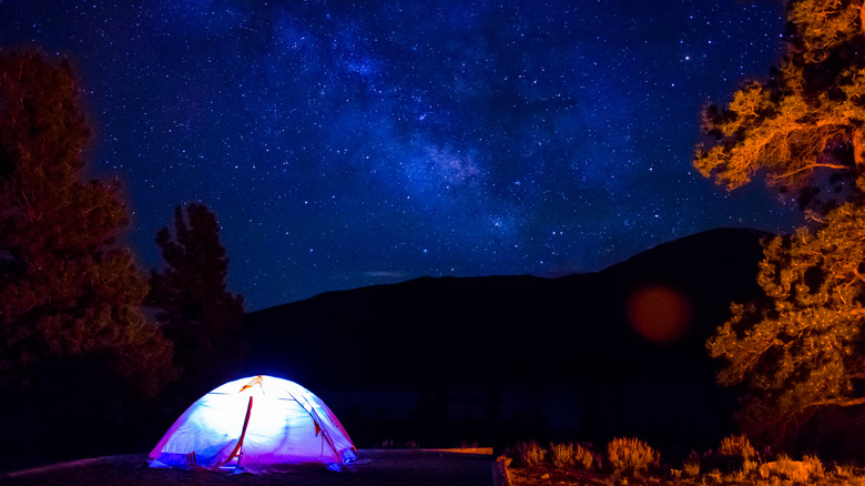 Tent illuminated under starlit night sky