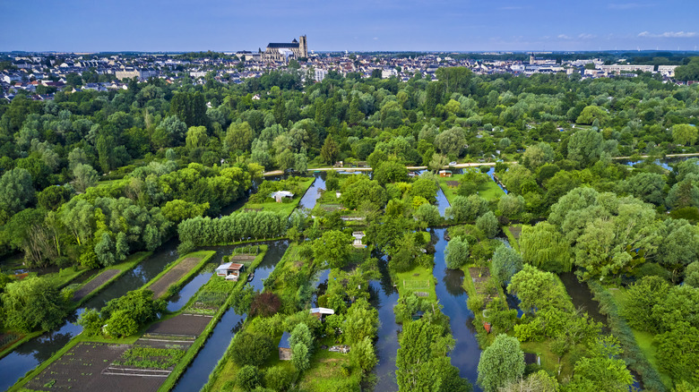 The marshes around Bourges with the city in the distance