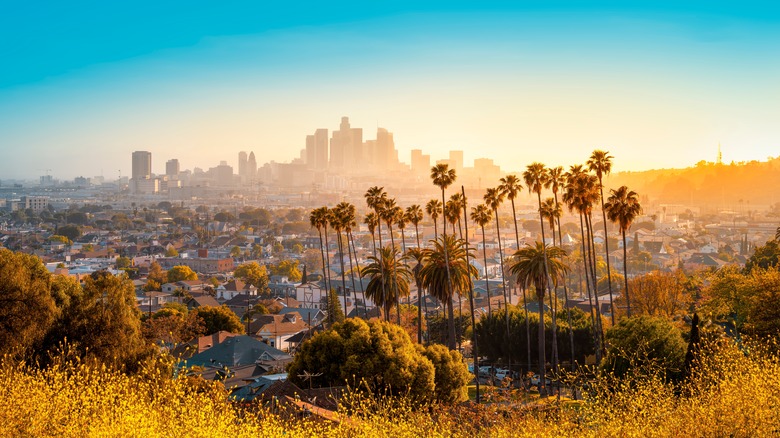 Los Angeles skyline sunset