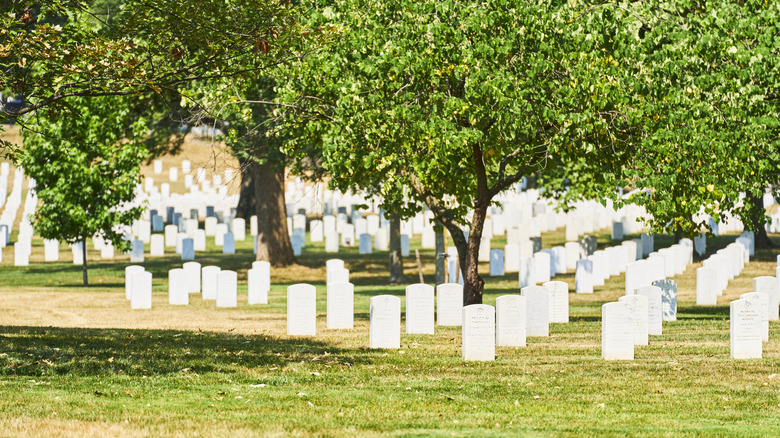 Headstones in Arlington National Cemetery