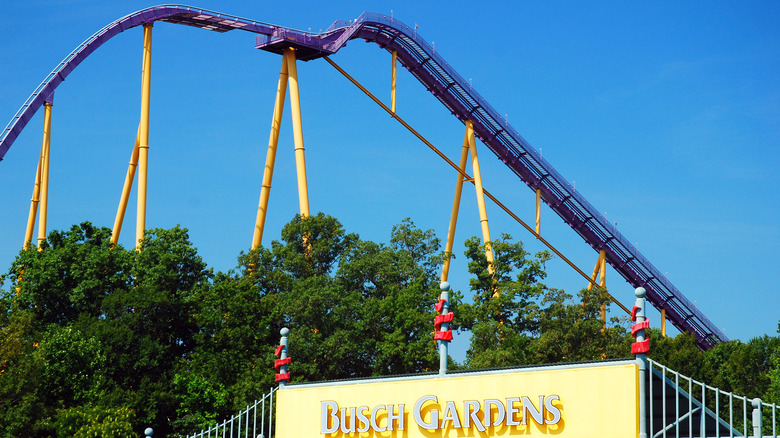 Roller coaster in Busch Gardens