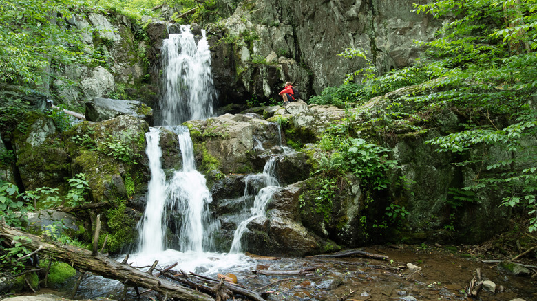 Waterfall in Shenandoah National Park