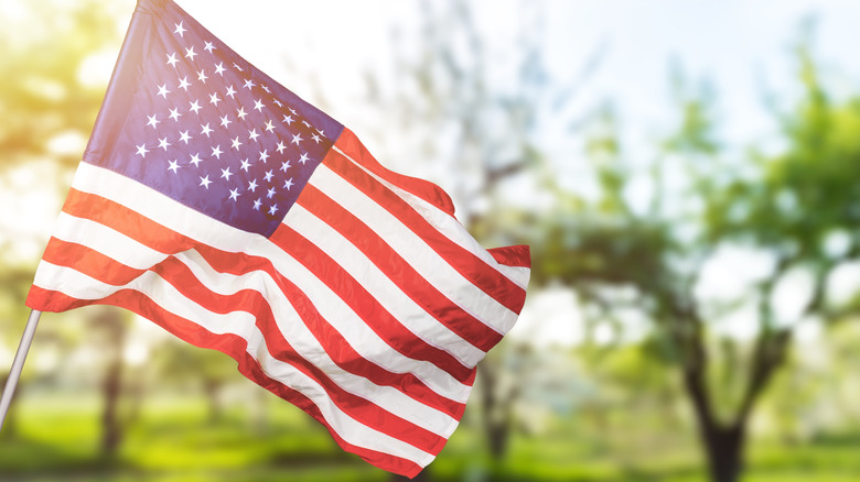 American flag in the breeze