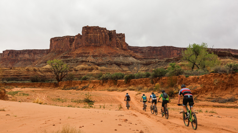 Biking a trail in Sedona