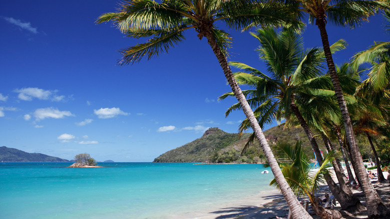 looking out at the Coral Sea from Catseye Beach on Hamilton Island, Australia