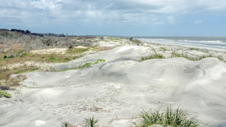 sand dunes with the beach and the ocean in the background on Sapelo Island, Georgia