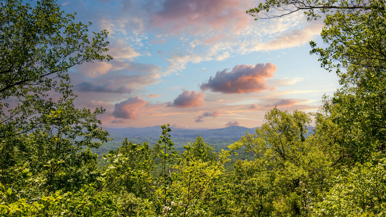 sunset in Amicalola Falls State Park in Dawsonville, Georgia