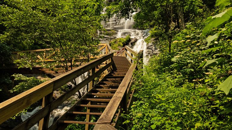 wooden steps leading up to Amicalola Falls in Amicalola Falls State Park in Dawsonville, Georgia
