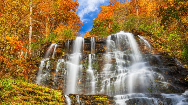 Amicalola Falls surrounded by fall foliage in Amicalola Falls State Park in Dawsonville, Georgia