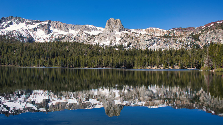 Snowy mountain ride and evergreen trees and their reflection in a lake