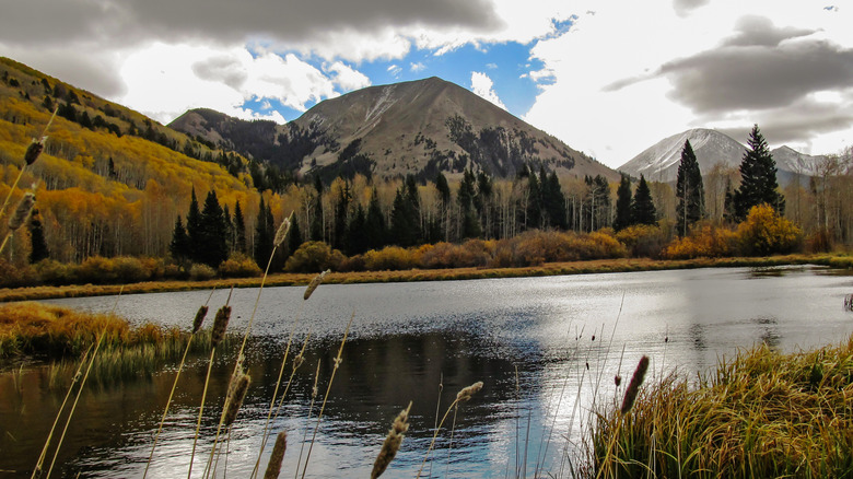 Warner Lake with snow on Haystack Mountain in the background and a few reeds in the foreground