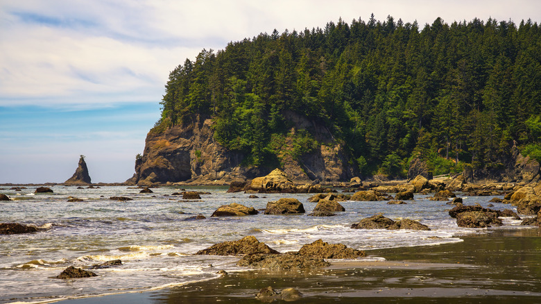 Rocky coastline in Washington