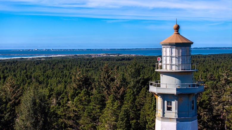 a lighthouse looking over a forest to the water