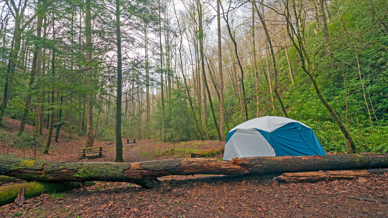 Campsite in Smoky Mountains