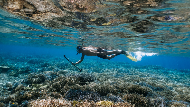 Snorkeler in water