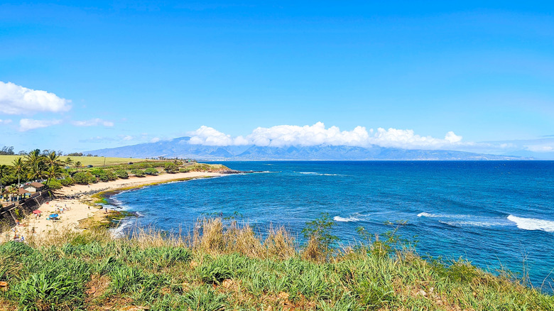 lookout view over Hawaiian beach and ocean