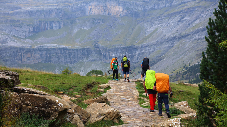 Mountain hikers with large packs.