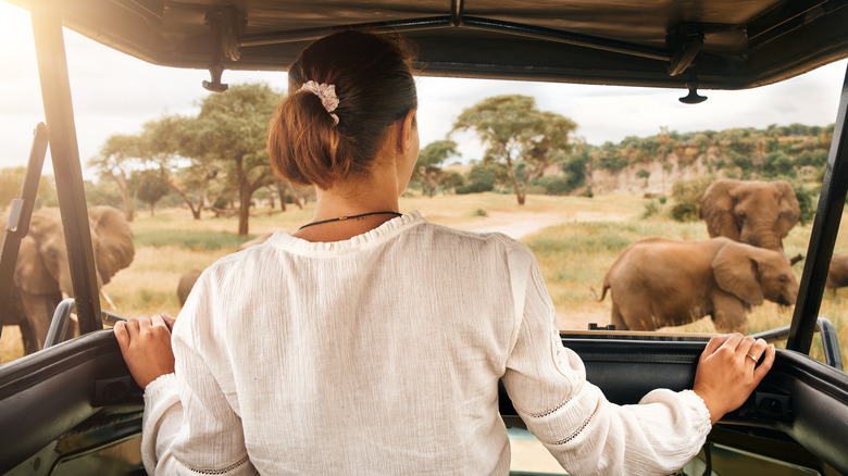 Tourist enjoy a game drive