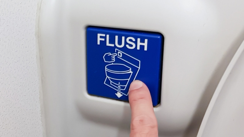 Toilet flush button on airplane