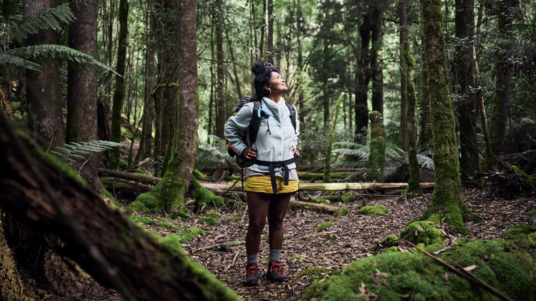 Woman hiking in Tasmanian jungle