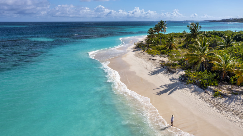 An aerial view of a person walking along the beach in the Caribbean.