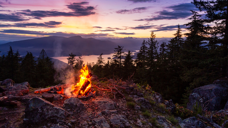 campfire along vancouver island coast
