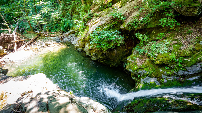 Water cascading into swimming hole surrounded by rock and forest