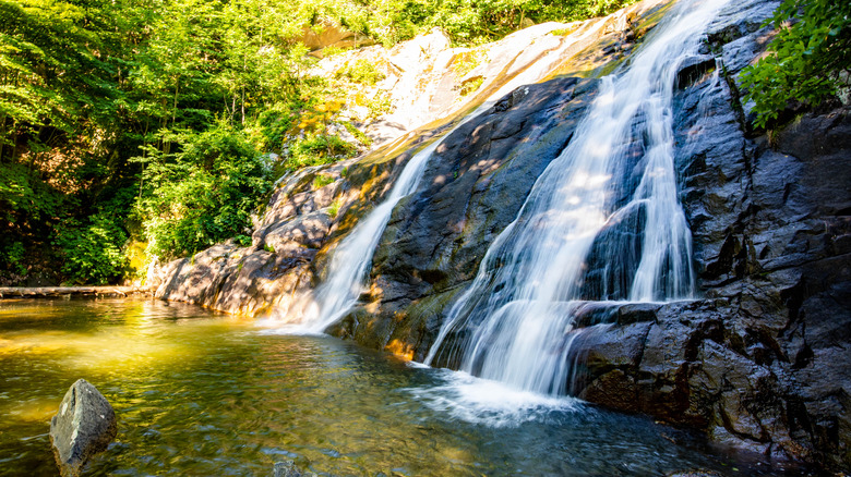 Waterfall cascading down rock into swimming pool in forest