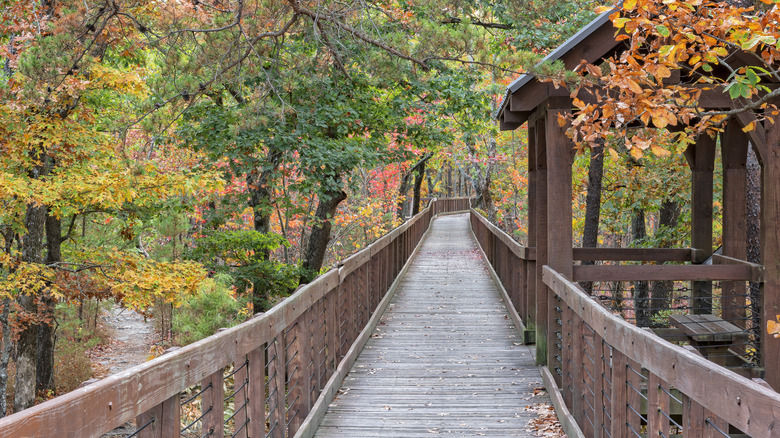 Walkway at Cheaha State Park during fall