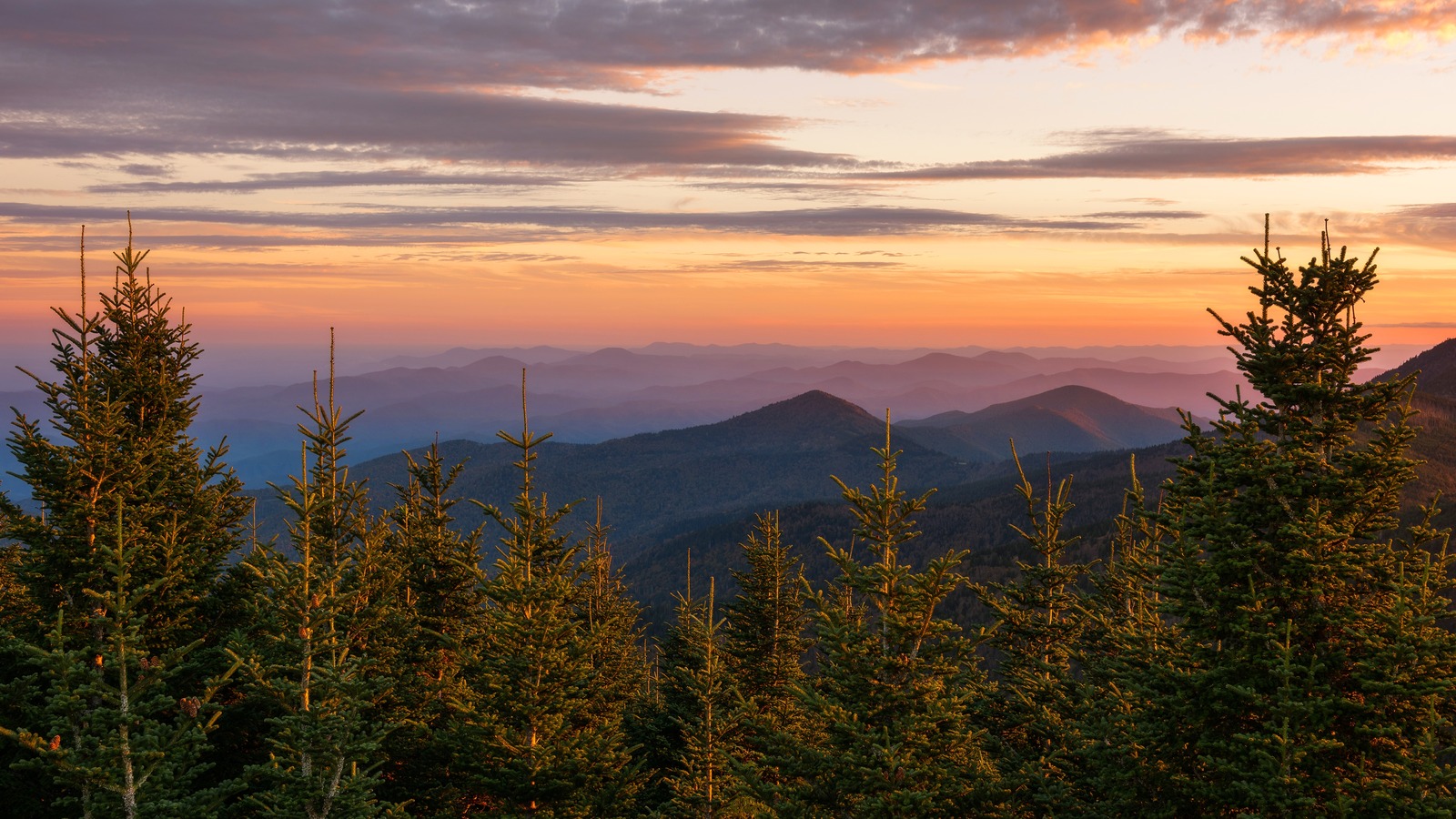Hike To The Highest Peak In The Eastern US On This Popular Trail