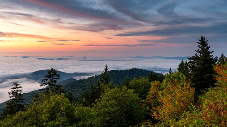 Kuwohi (Clingmans Dome) mountain landscape at dusk in Great Smoky Mountains National Park
