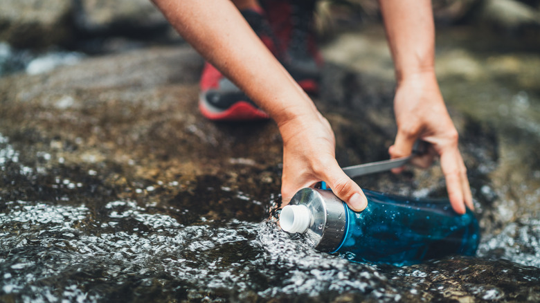 Close-up of person filling water bottle in a stream