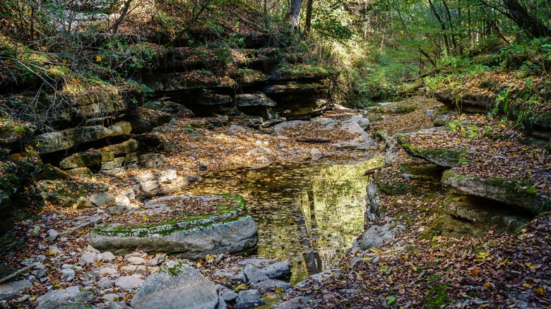 Creek running through Raven Run Nature Sanctuary
