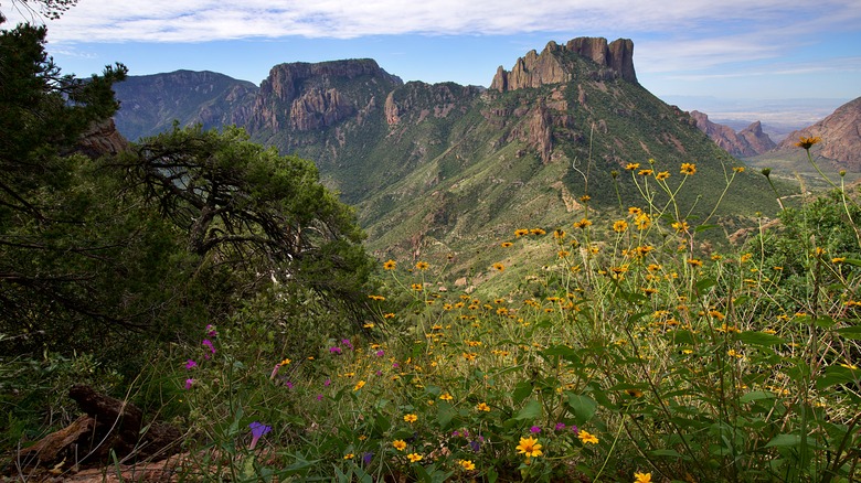 The Chisos Mountains in Big Bend National Park offer stunning vistas and amazing views
