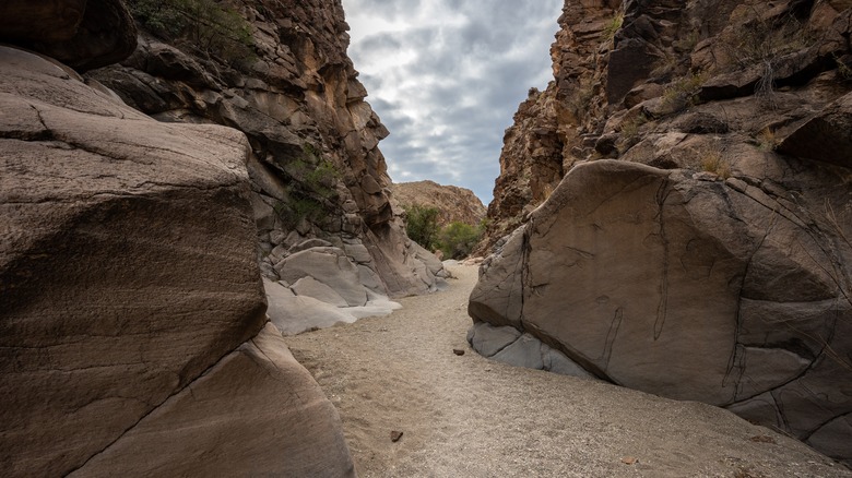 Wash Bends Through Canyon Toward Upper Burro Mesa Pouroff in Big Bend
