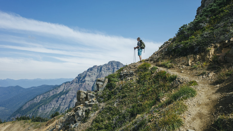 A hiker looks out on the mountains on the Pacific Crest Trail