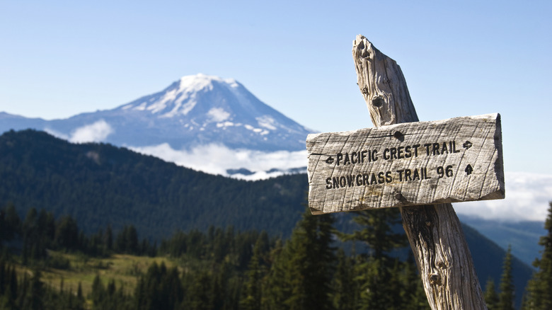 A sign marks the Pacific Crest Trail in Washington State