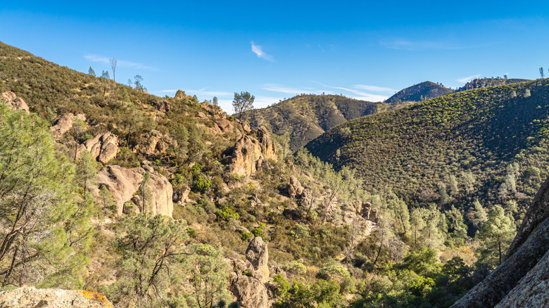 Condor Gulch Trail to Overlook, Pinnacles National Park