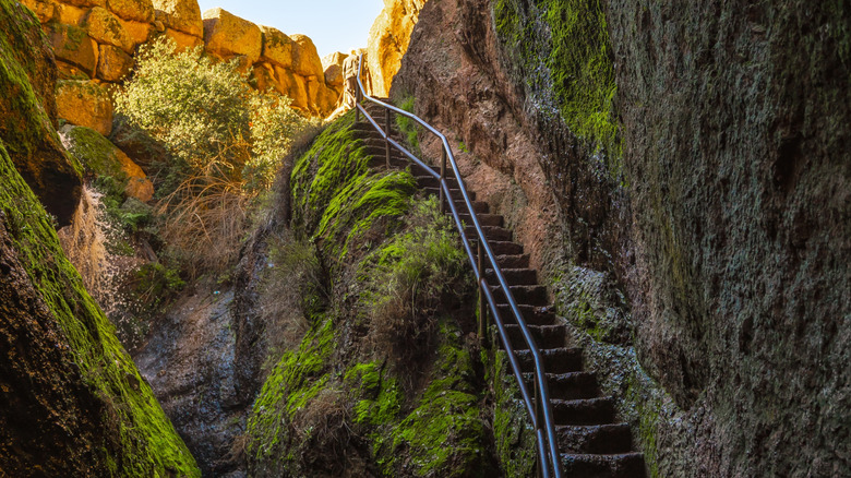 Bear Gulch Cave Trail