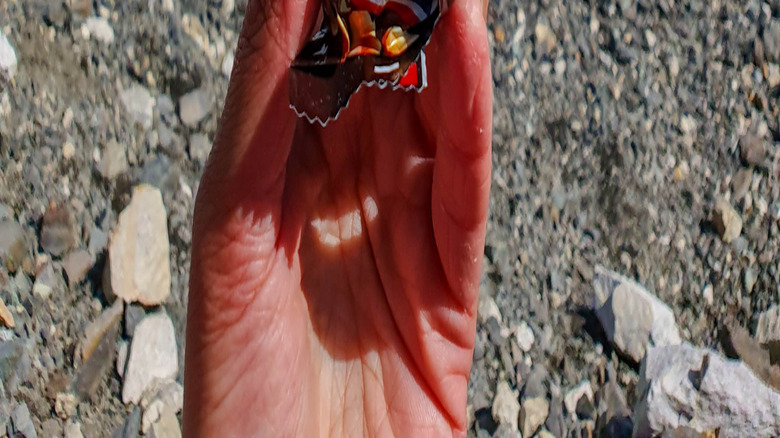 hand holding snickers with snowy rocky mountain terrain
