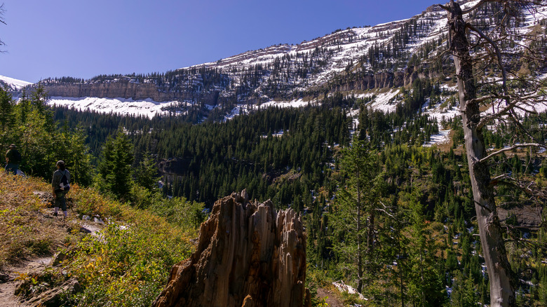 hikers on the Darby Trail