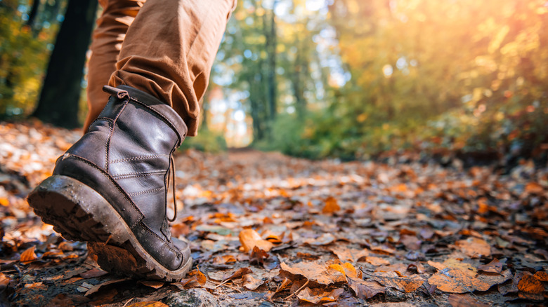 Hiking boots on a forest trail