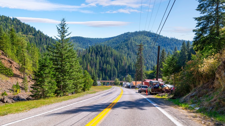 A road leading into pine forest-covered mountains
