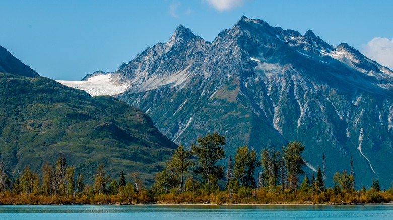 Mountain landscape with trees and a lake