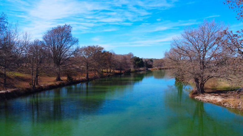 River with trees